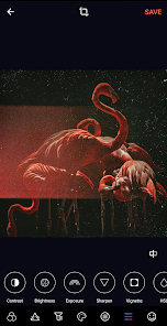 Screenshot 6 for Glitch VHS Vapor 90s Retro MOD APK 1.8.9 (Premium Unlocked) Android